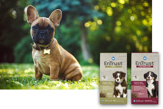 EnTrust Puppy Products