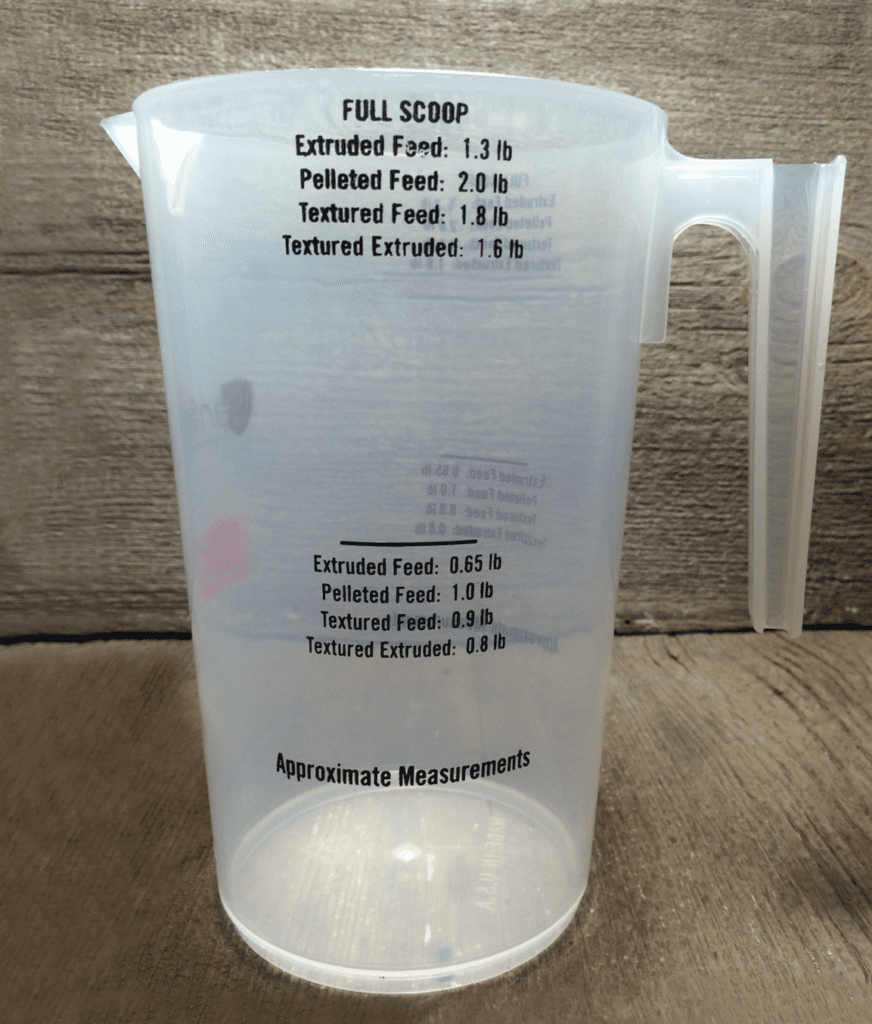 Horse Nutrition Advice from Dr. Randel Raub Kent Feeds Blue Seal