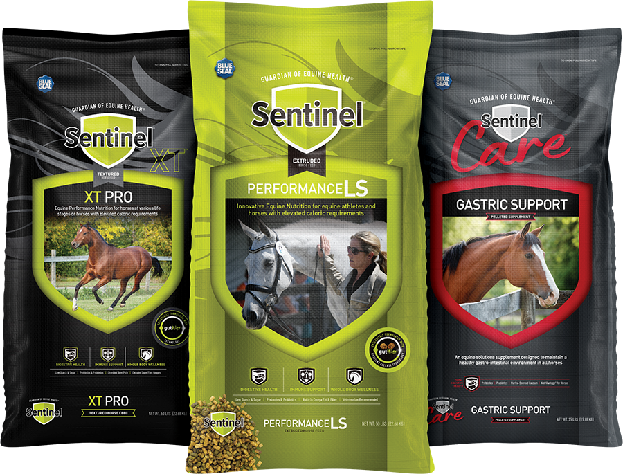 Sentinel Horse feed brand logo