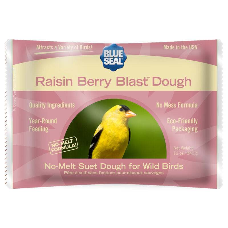 Raisin Berry Blast Suet Dough