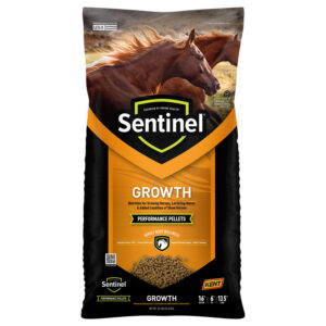 Sentinel Growth