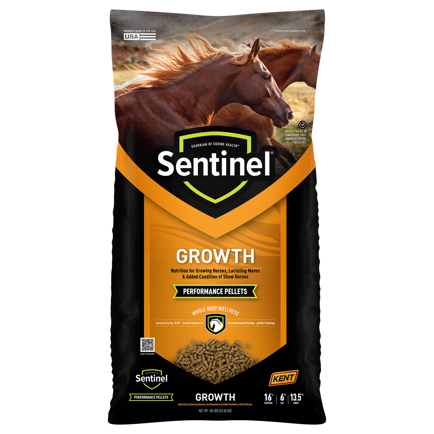 Sentinel Growth
