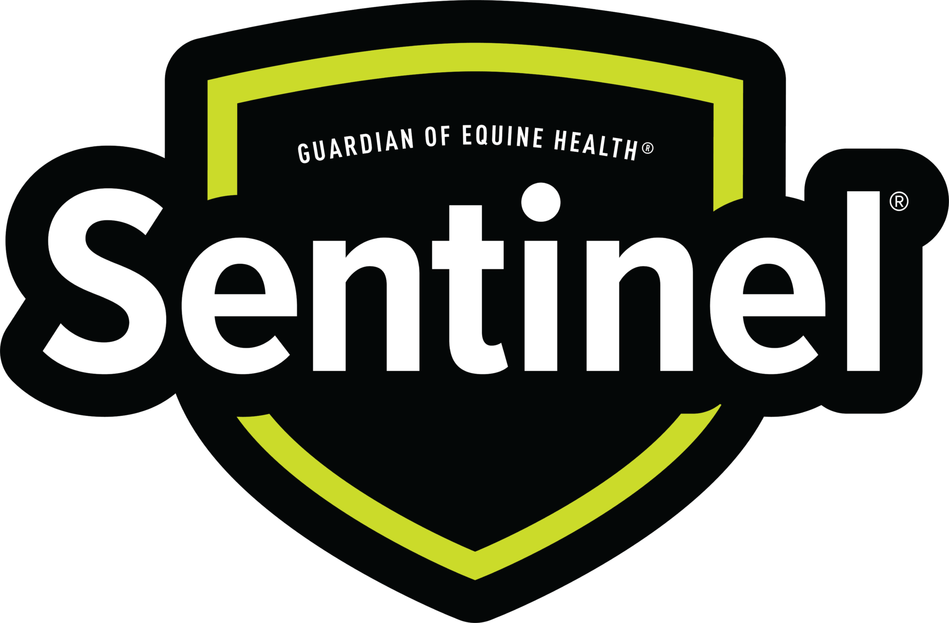 Sentinel 3C logo