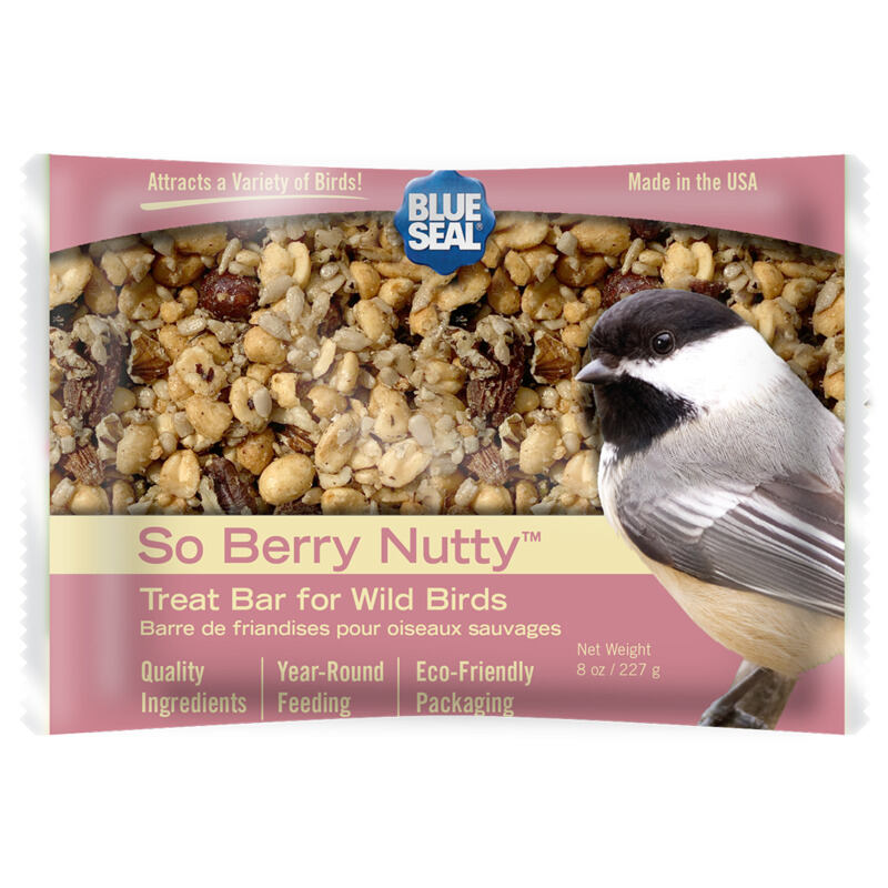 So Berry Nutty Suet Treat Bar