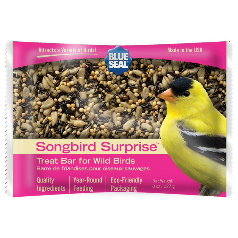 Songbird Surprise Suet Treat Bar