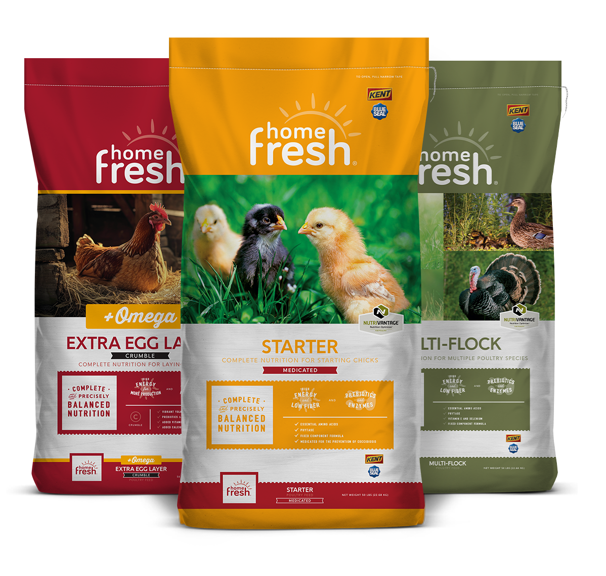 UBS-home-fresh-lockup-POULTRY_3