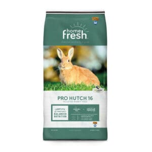 Home Fresh Pro Hutch 16
