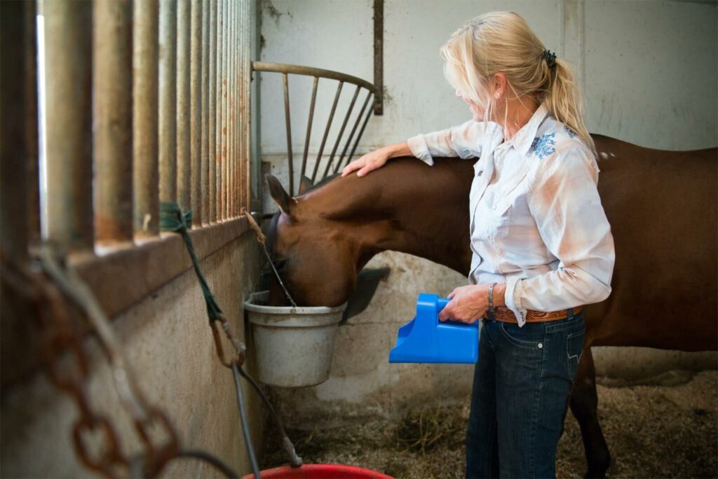 An equine nutritionist feeding a horse inside of a stable