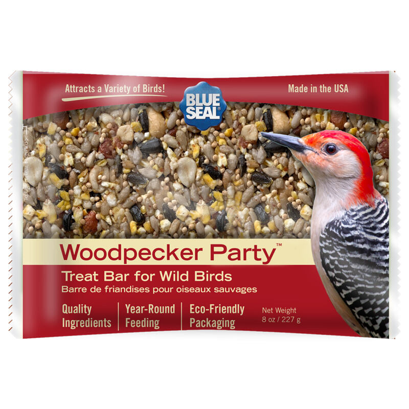 Woodpecker Party Suet Treat Bar