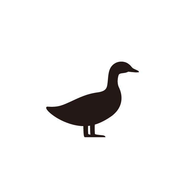 More Species
