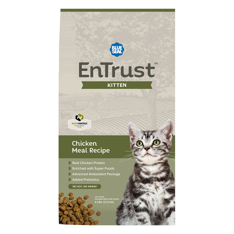 EnTrust Kitten Chicken Meal Recipe