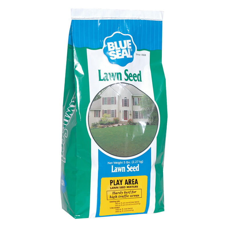 Play Area Lawn Mix