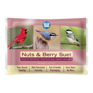 Nuts & Berry Suet Cake