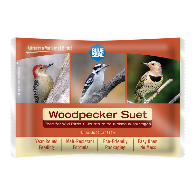 Woodpecker Suet Cake