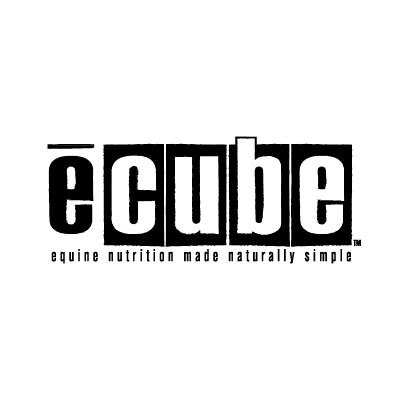 Ecube logo