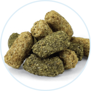 close-up of extruded horse feed nuggets