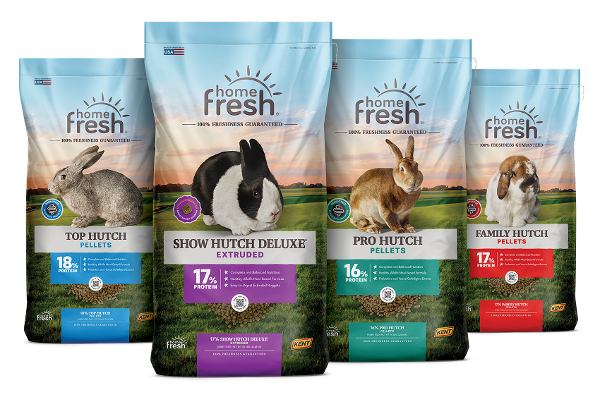 Rabbit food lineup