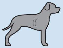 ideal weight dog illustration