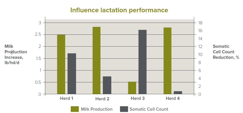 Influence of lactation performance