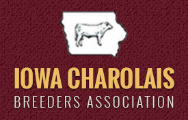 iowa-charolais-breeders-assocation-logo