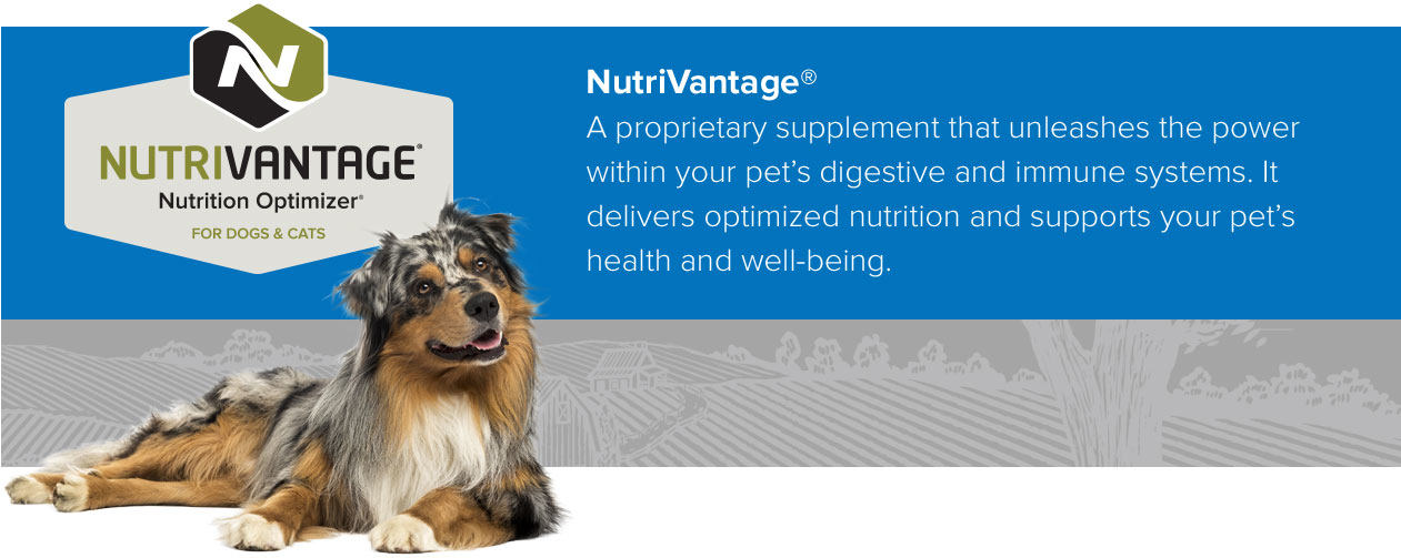 NutriVantage for Dogs information box