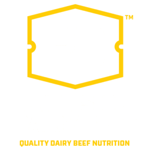 Precision Dairy Beef logo