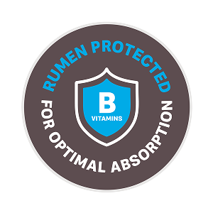 Rumen Protected badge