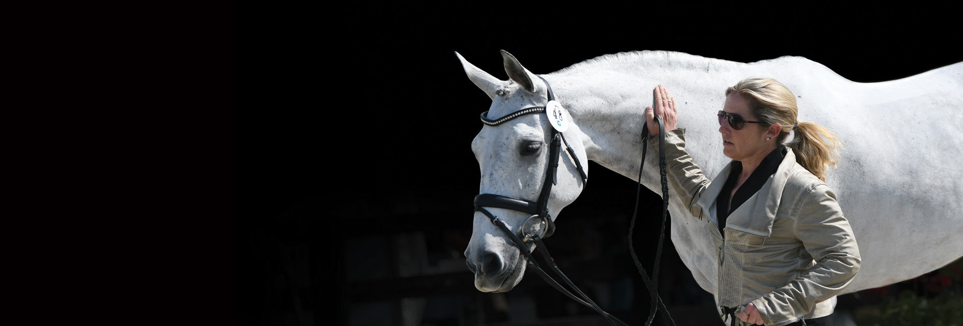 Sentinel Extruded Horse Feed Kent Feeds Blue Seal