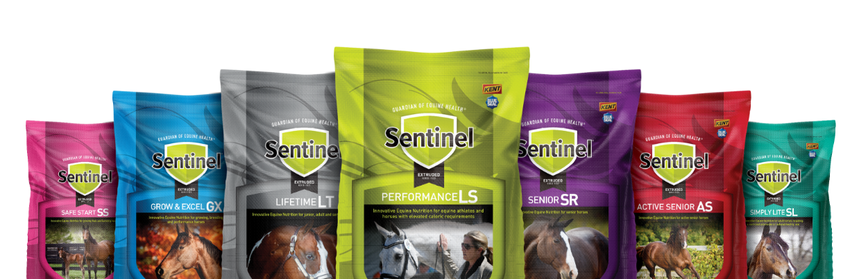 Sentinel products