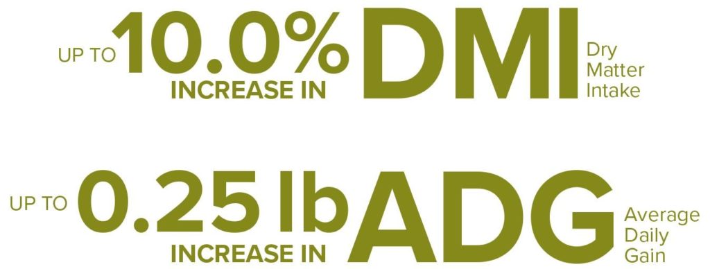 Up to 10.0% increase in DMI, Up to 0.25-lb increase in ADG
