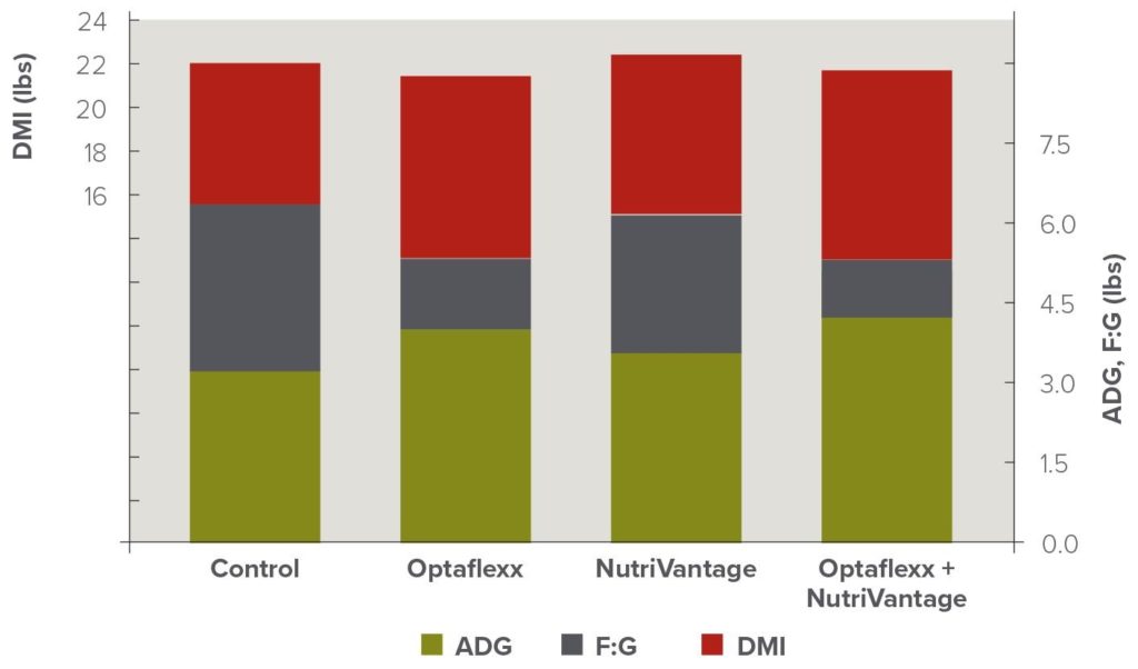 chart demonstrating benefits of NutriVantage for beef + Optaflexx