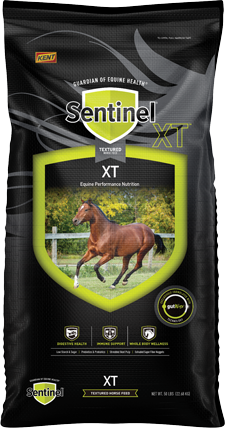 Sentinel XT bag