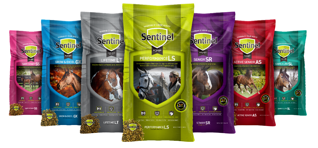 Sentinel Premium Horse Feed Extruded