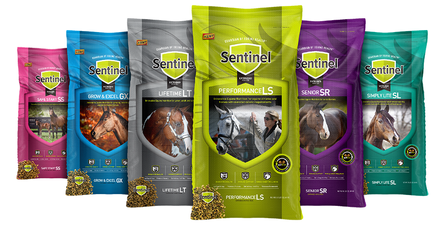 Sentinel Horse feed brand