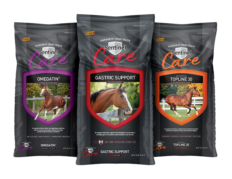Sentinel Care horse feed brand logo.