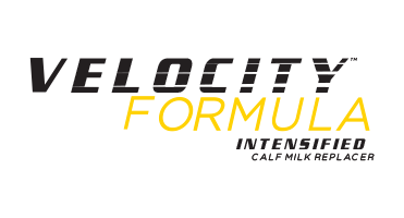 Velocity Formula
