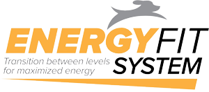 energyfit-system-logo_300