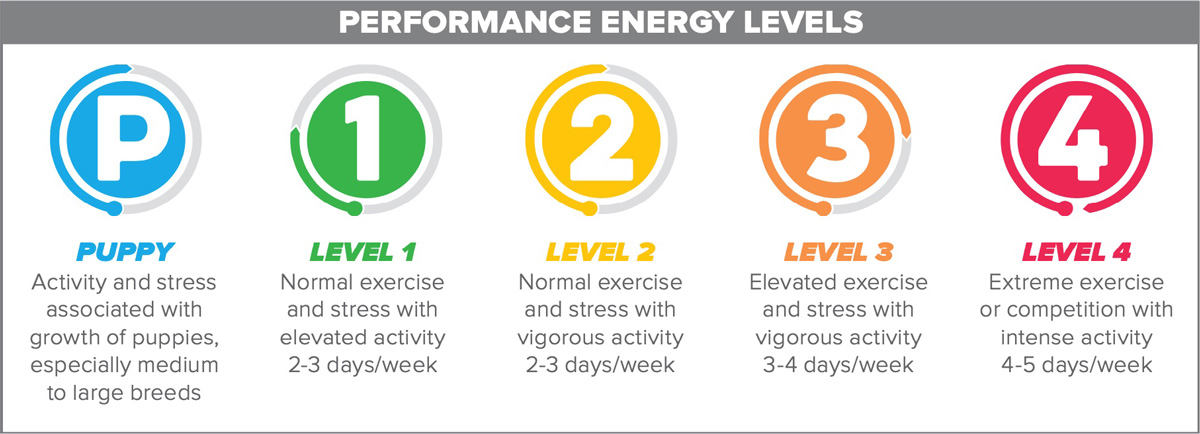 performance energy levels in EnergyFIT System