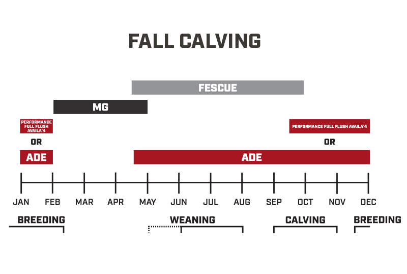 Fall Mineral Chart