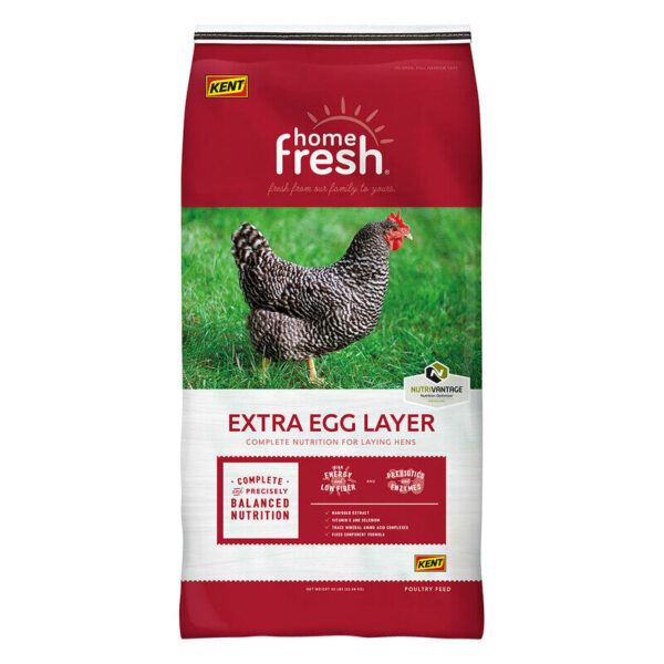 Home Fresh Extra Egg Layer