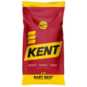 Baby Beef 44 625M 500B