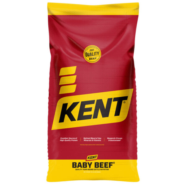 Baby Beef 44 625M 500B
