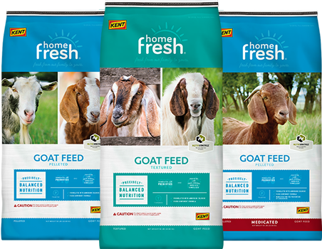 Kent Home Fresh Goat Feeds bags