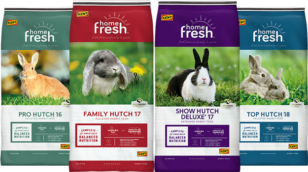 Kent Home Fresh Rabbit bags
