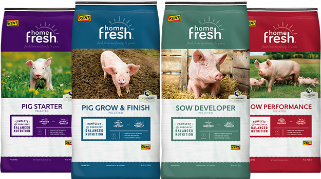 Kent Home Fresh Swine Feeds bags