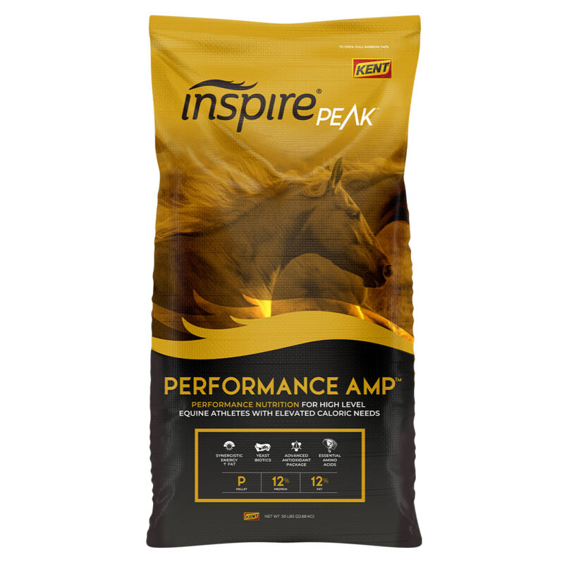 Inspire PEAK Performance Amp