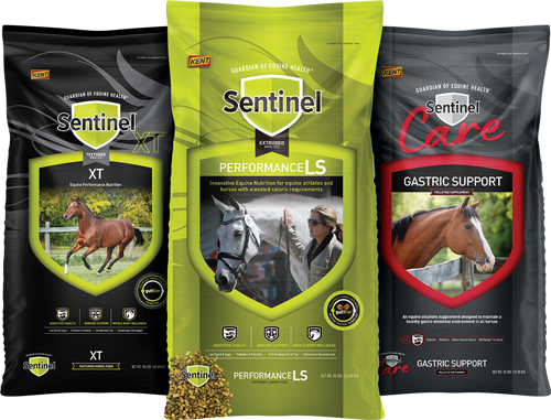 bags of Sentinel Horse Feeds