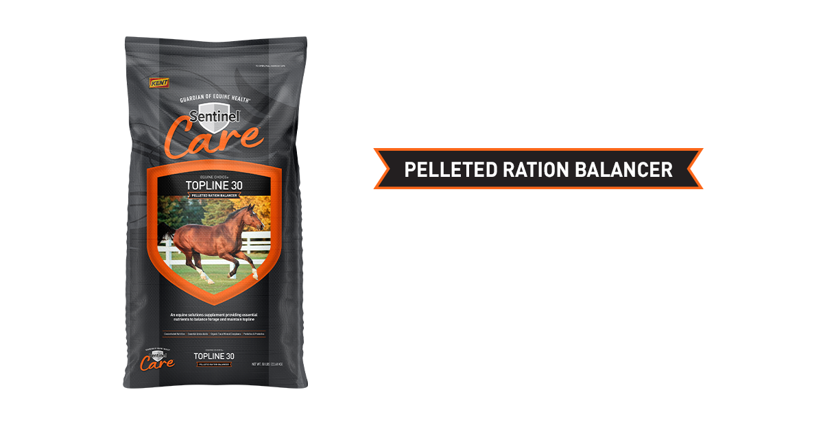 Sentinel Care Horse Feeds Kent