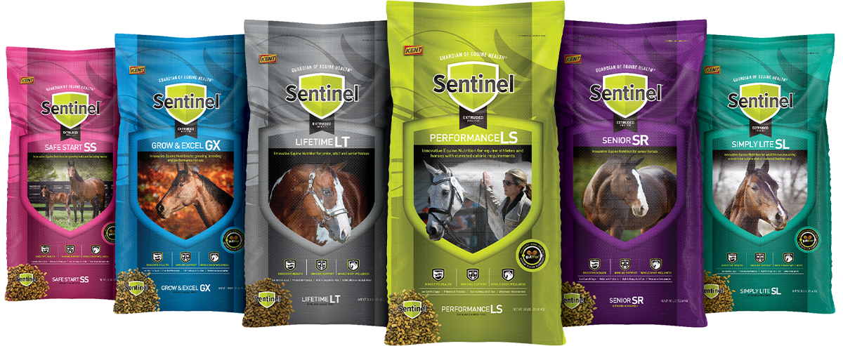 bags of Sentinel Extruded Horse Feeds