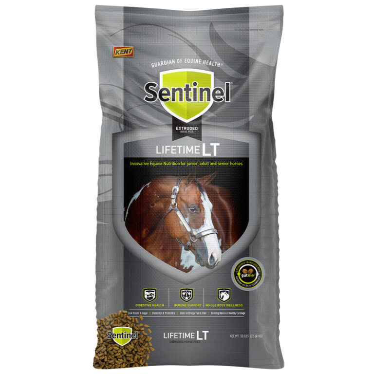 Horse • Feeds Kent